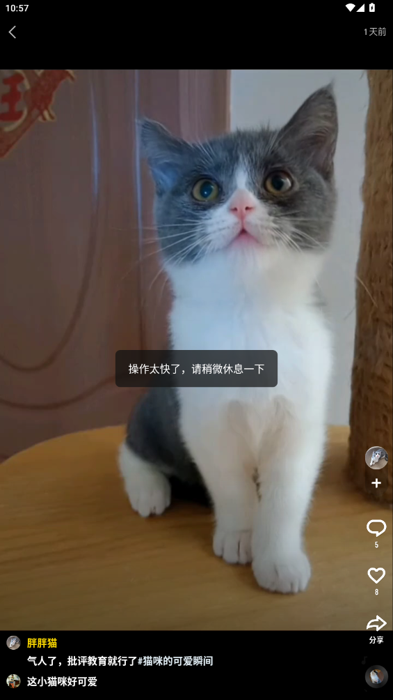 快手大屏版更新版