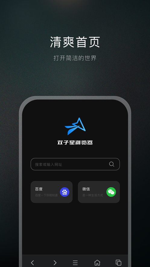 雙子星瀏覽器安卓版本