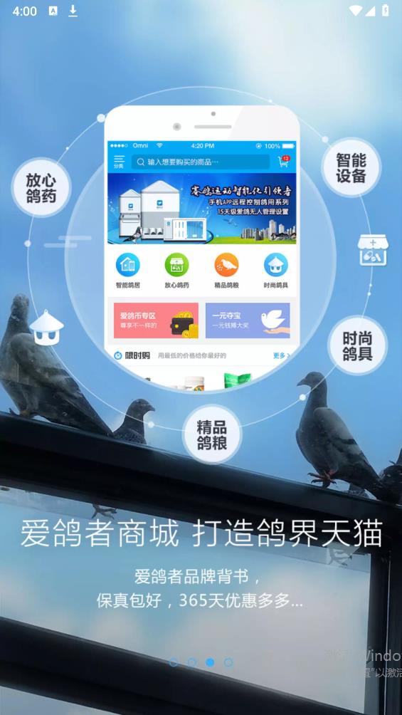 愛鴿者官方客戶端