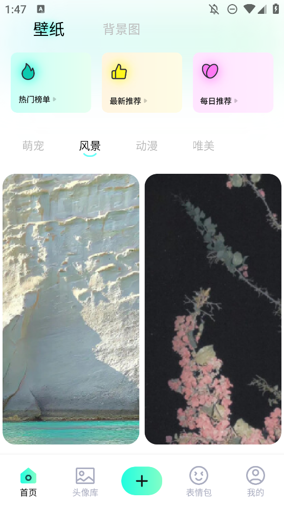高清桃子手機壁紙應用
