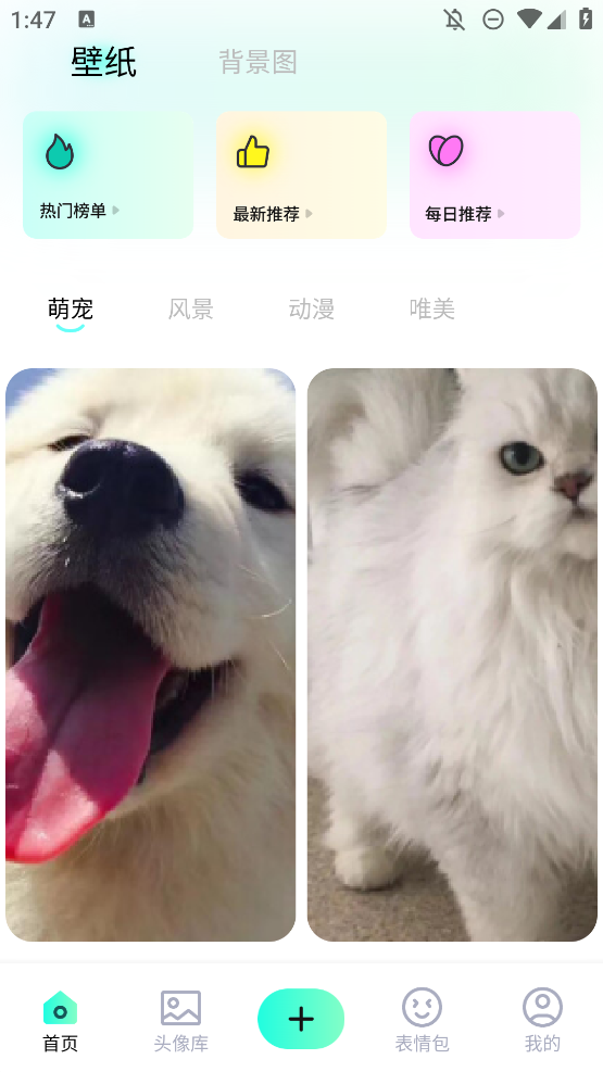 高清桃子手機壁紙應用