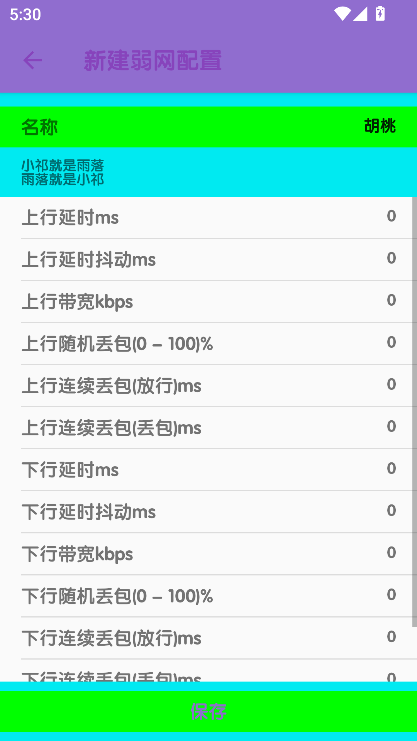 胡桃弱網(wǎng)10.0配置
