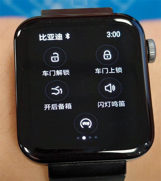 比亞迪汽車手表版APP