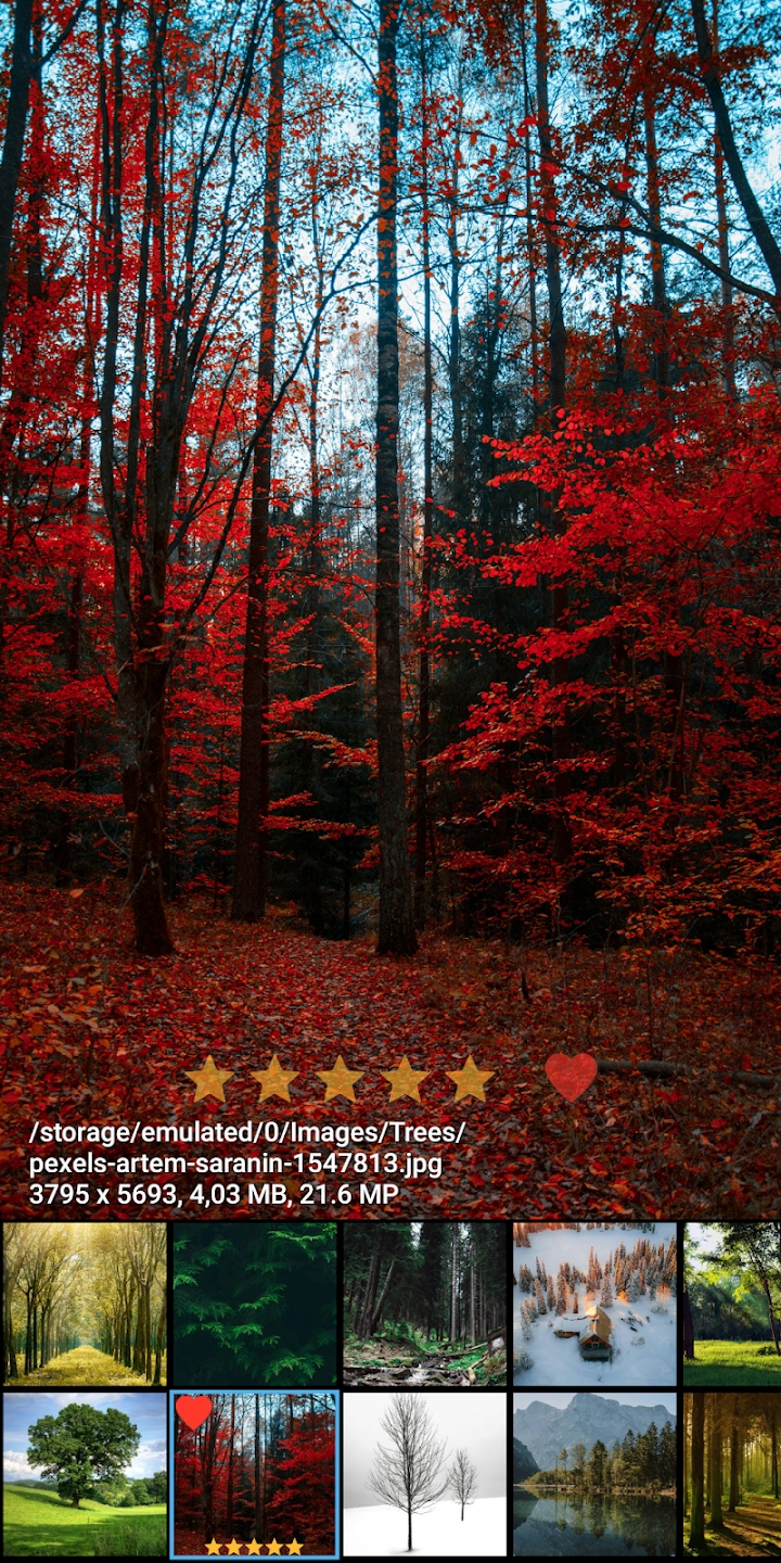FStop相冊(cè)App新版