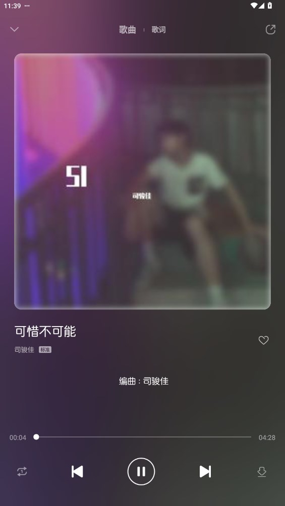 正版軟音音樂播放器