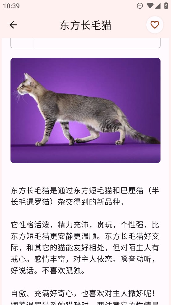 正版貓品種大全APP