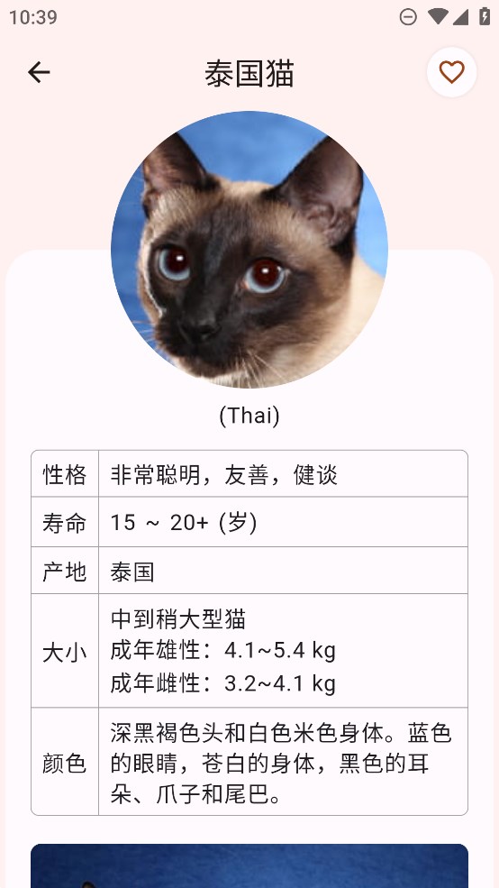 正版貓品種大全APP