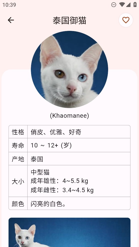 正版貓品種大全APP
