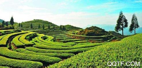 掌尚管家app官方版 掌尚管家app官方版