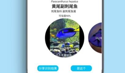 看魚app官方版
