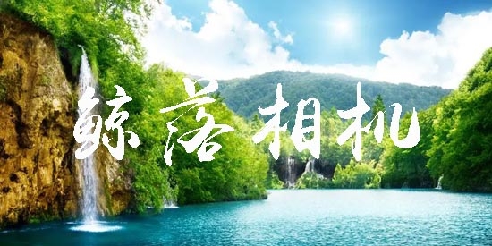 鯨落相機(jī)app官方版