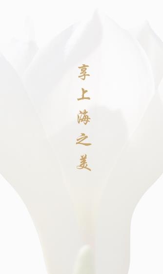 玉蘭之城app最新版