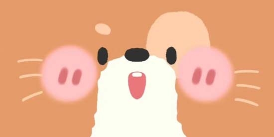 贊鴨桌面app最新版