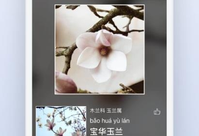 花伴侶植物識別app最新版