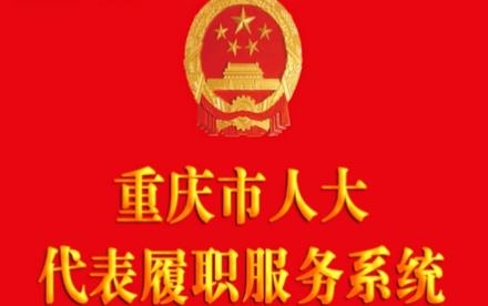 代表履職服務(wù)系統(tǒng)app官方版