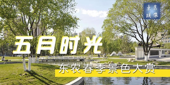 東北農(nóng)業(yè)大學(xué)體育部APP最新版本
