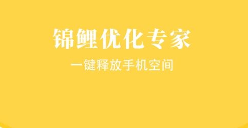 錦鯉優(yōu)化專家官方版