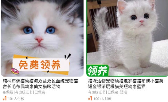 手機淘寶測試版