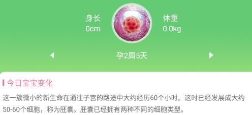 喜芽胎心監(jiān)護app安卓版