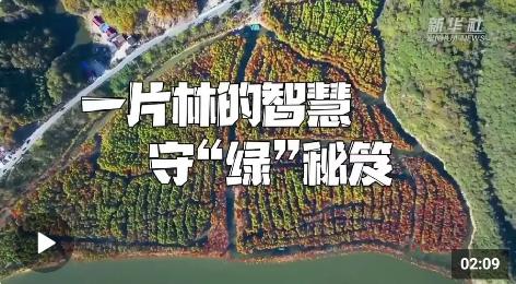安徽視訊app安卓版