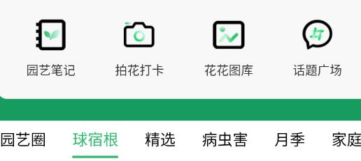 虹越APP官方版