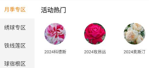 虹越APP官方版