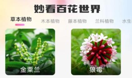 妙看百花app安卓版