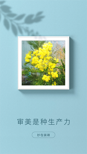 妙在裝裱a(bǔ)pp最新版