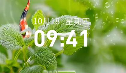 快閃壁紙app最新版
