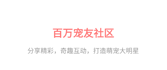 有寵app官方版