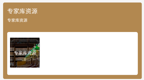 中文國際最新版