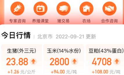 正大豬博士app官方版
