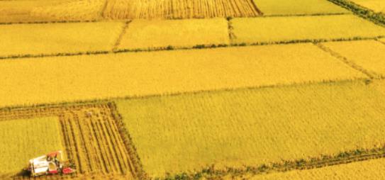 四川田長巡田app安卓版 四川田長巡田app安卓版