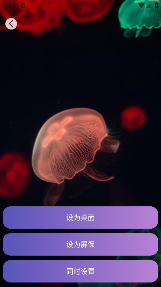 畫與未來