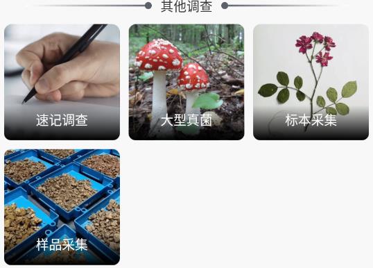 北極花生物調(diào)查APP官方版