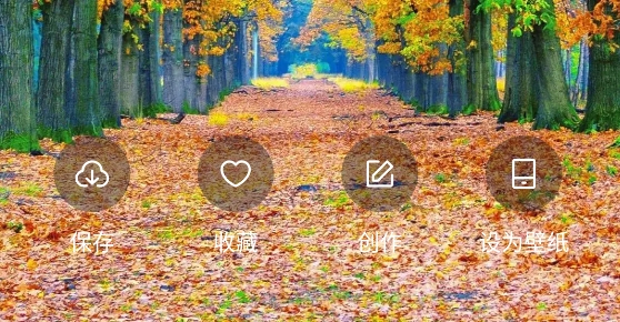 吾次元壁紙app