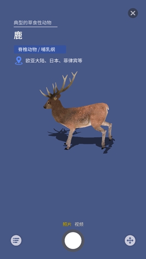 大眼探世界app官方版
