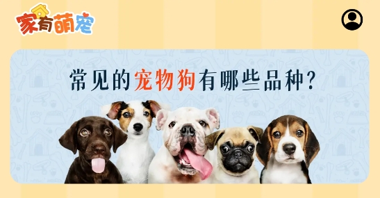 家有萌寵app