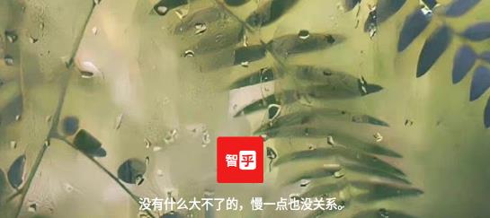 智乎優(yōu)化版app最新版