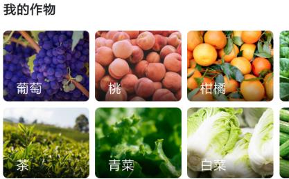 植小保app官方版