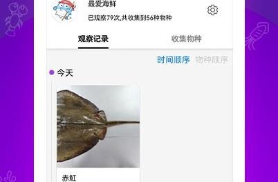 問魚app最新版