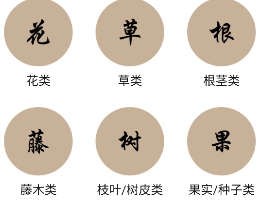 中草藥寶典app官方版