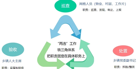 清新永泰app官方版