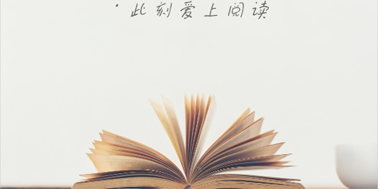 文徒小說app官方版 文徒小說app官方版