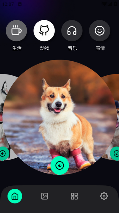 揀愛壁紙最新版