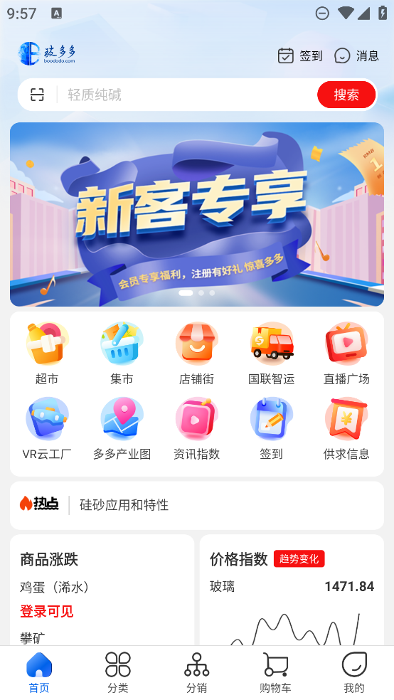 玻多多正版
