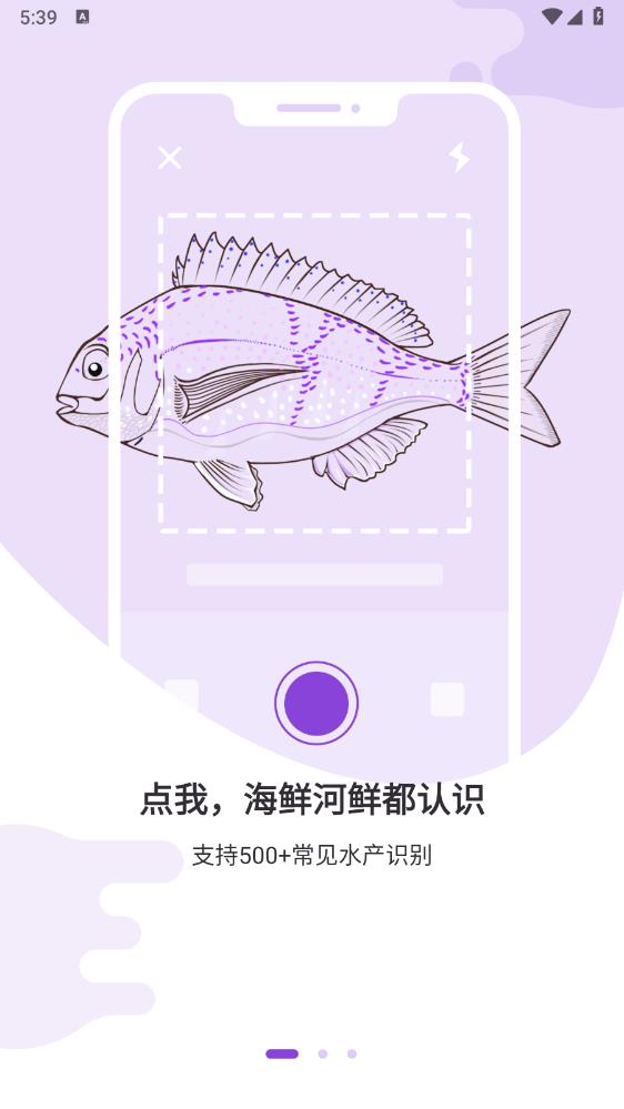 問魚App新版