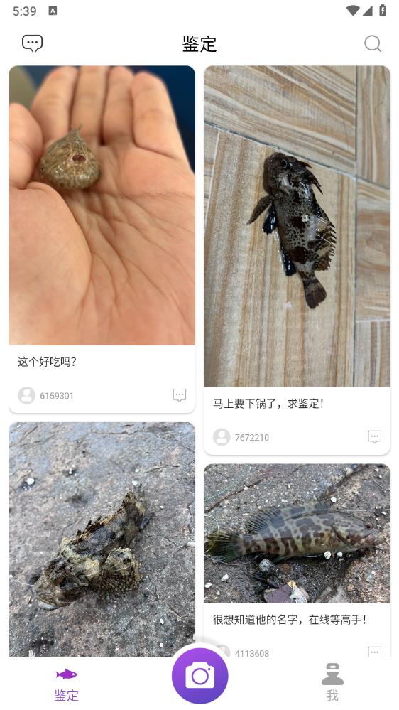 問魚App新版