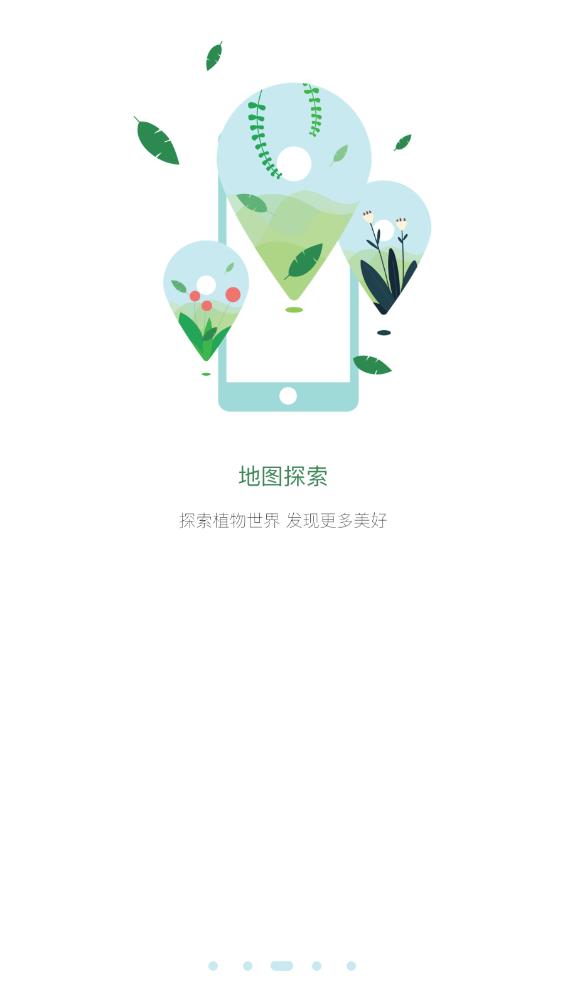 花伴侶植物識別最新版