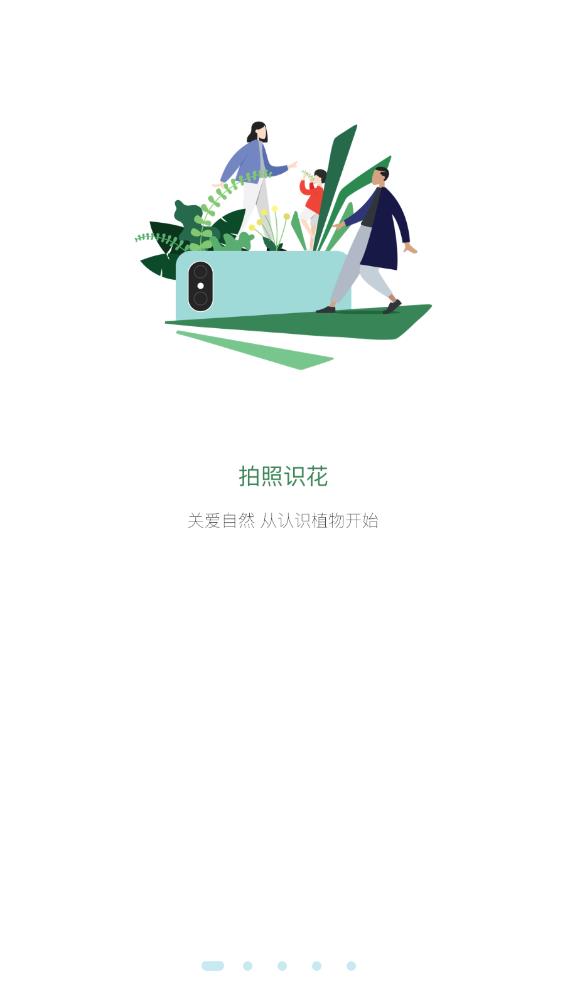 花伴侶植物識別最新版